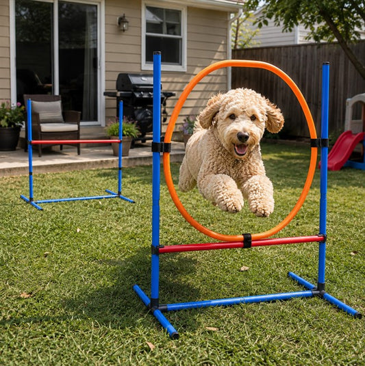 Dog Agility Training Set